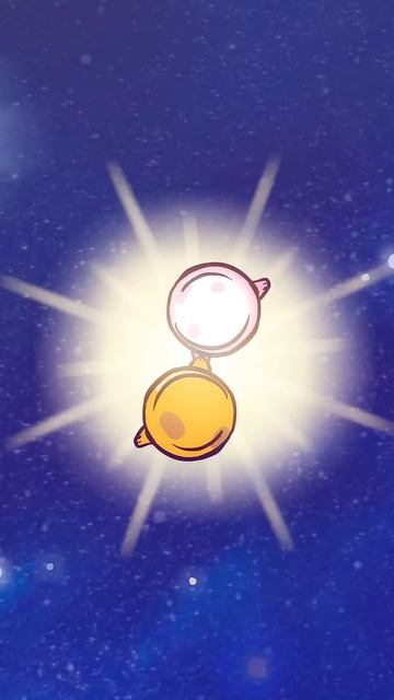 Морские Котики Что такое любовь... 🩷