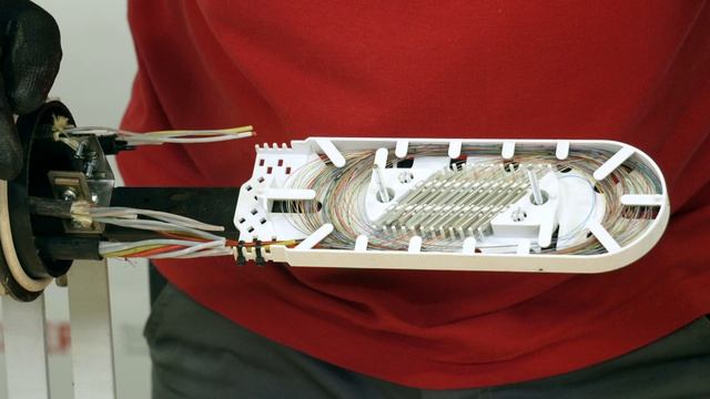 Что не так? С Иваном Кобелевым. МОГ-Т3, она временная, но постоянная?