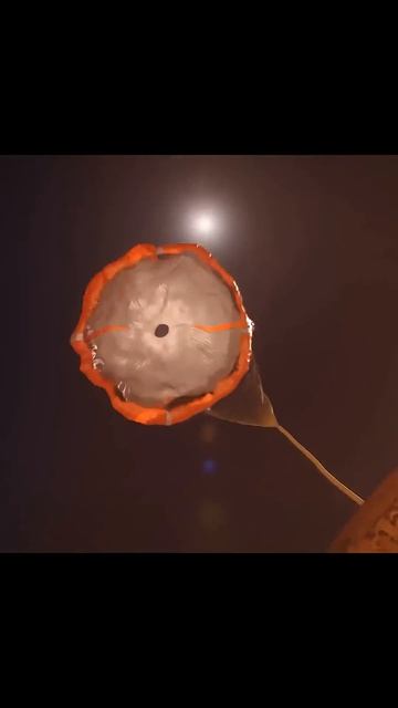 NASA планирует уже в конце 2028 года запустить космический корабль, оснащенный ядерным реактором