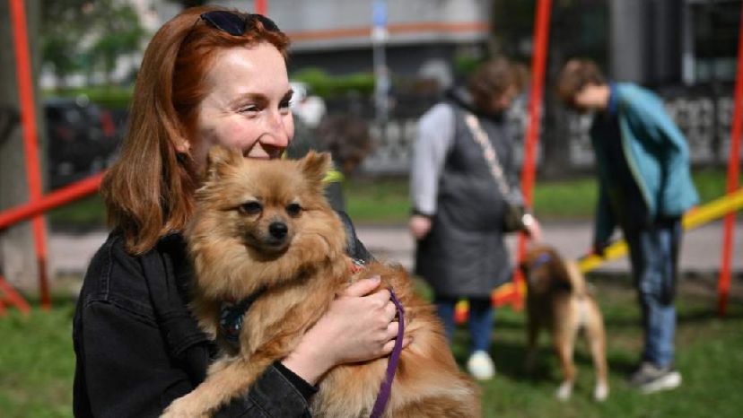 Спецпроект «Моспитомец х Четвероногий друг» помог найти хозяев для десятка животных