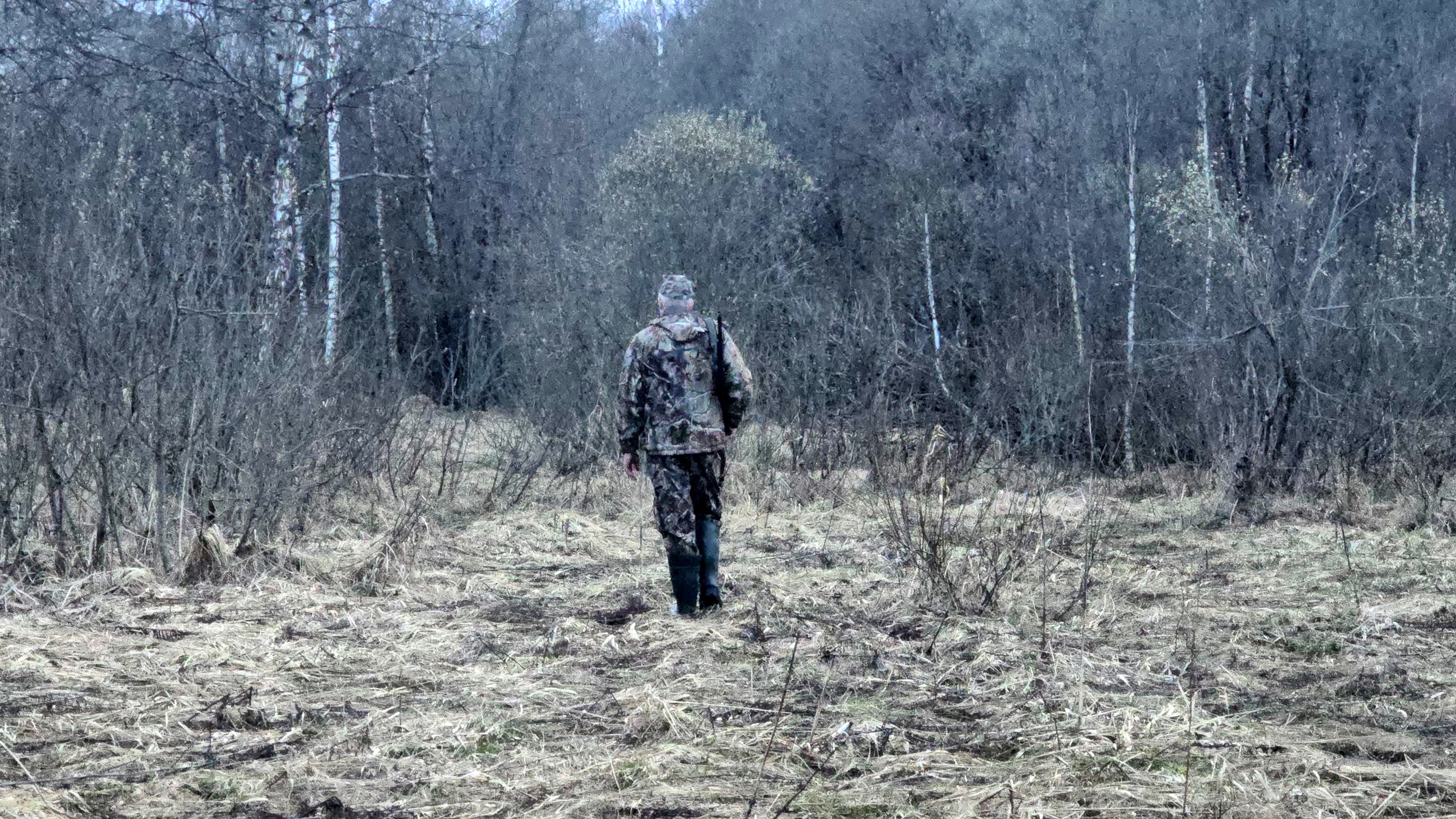 На тяге вальдшнепа