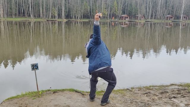 поимка судака