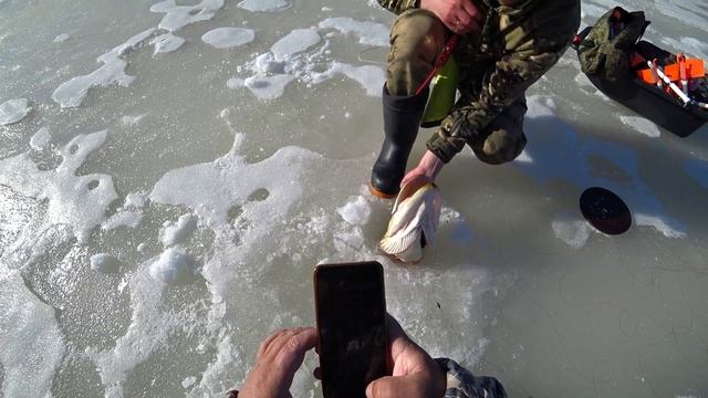 ЩУКА НА ЖЕРЛИЦУ 9570!