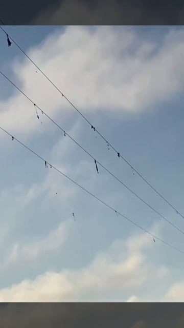 ⚡Рыбалка под проводами это не только не удобно, но и опасно! 🎣⛔