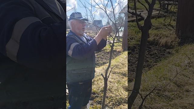 Для Дачников.