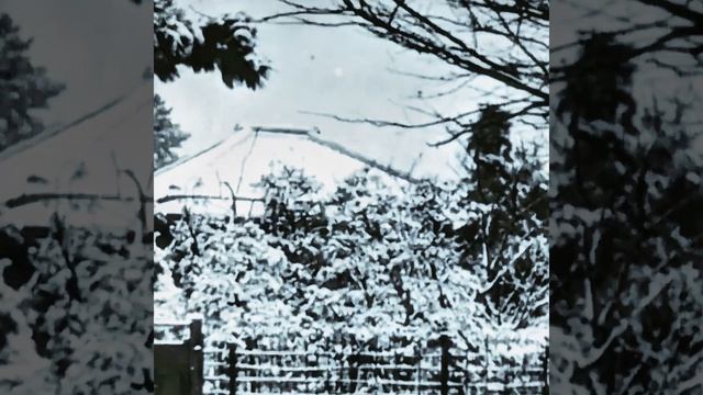 АВМ-СССР 2026 Ситуация.mp4