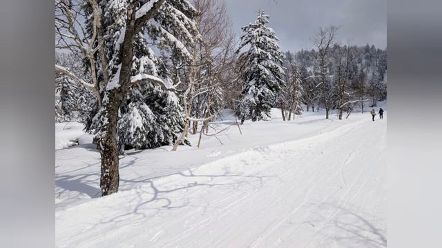 71.Хоккайдо: апрельская зима в разгаре ❄️.