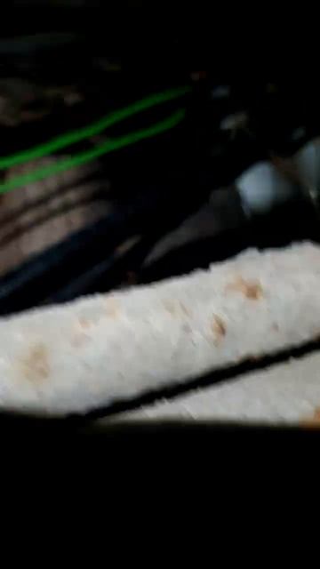 16 апреля 2026 г.