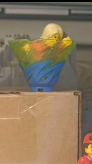 Посылка от Мастера Лего!