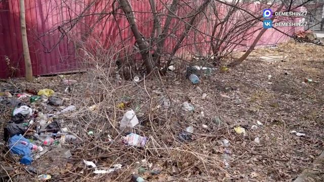 Дмитрий Демешин взял на контроль благоустройство двора ветерана ВОВ Юрия Ласькова