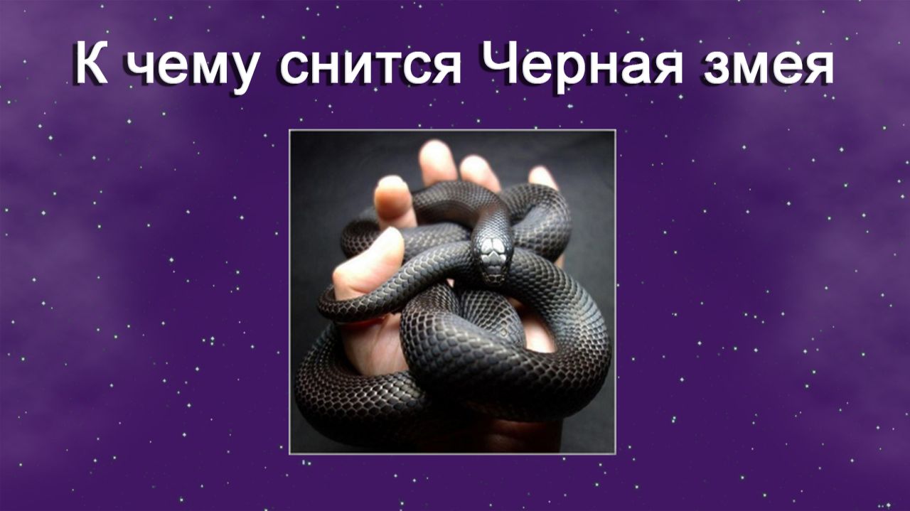 К чему снится Чёрная змея - толкование сна