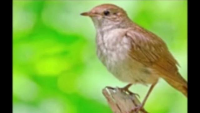 17 апреля- День советской пожарной охраны