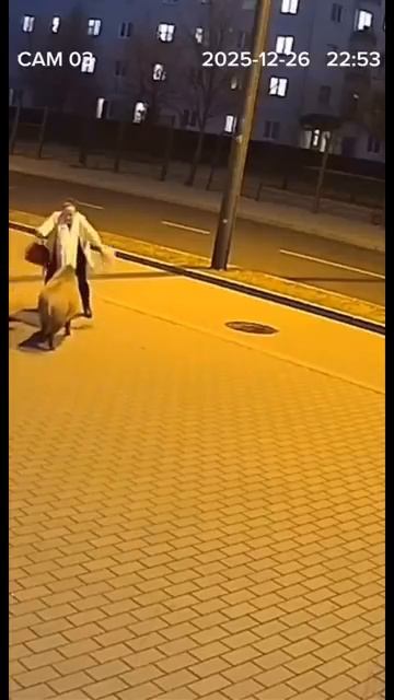 Польша. А вы, все о ножах:)