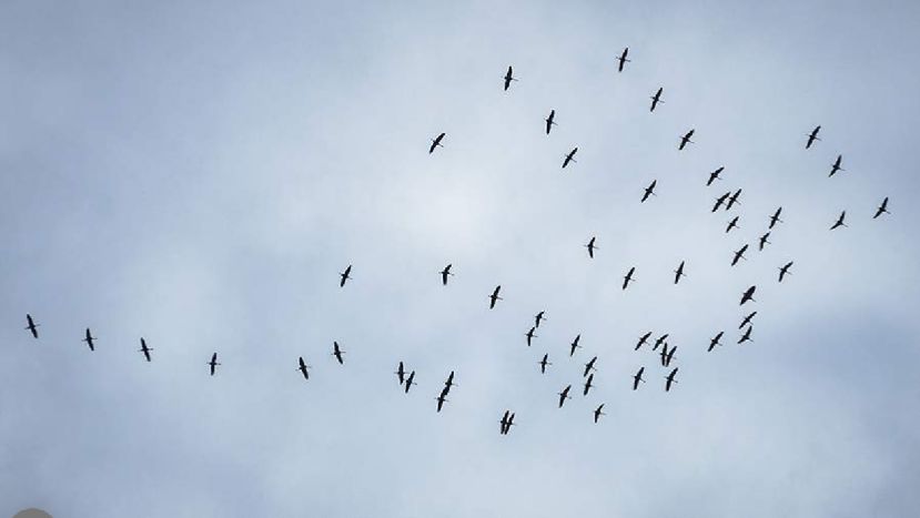 Особый народный праздник 17 апреля — Иосиф Песнопевец: история, традиции, приметы