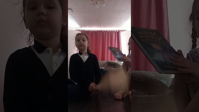 играем с Алисой проводим время