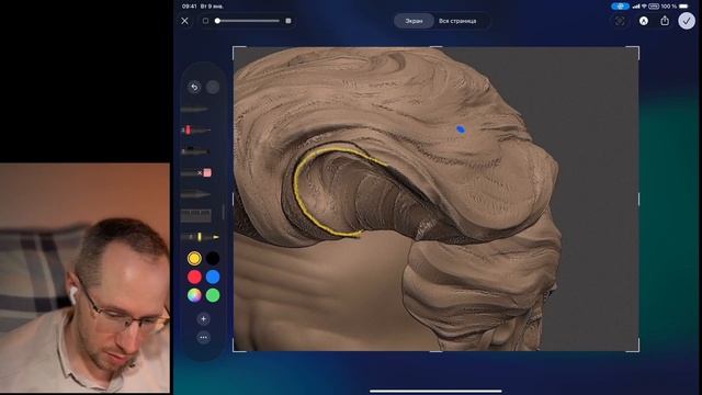 Выпуск онлайн-группы САППФ. Поток 24.