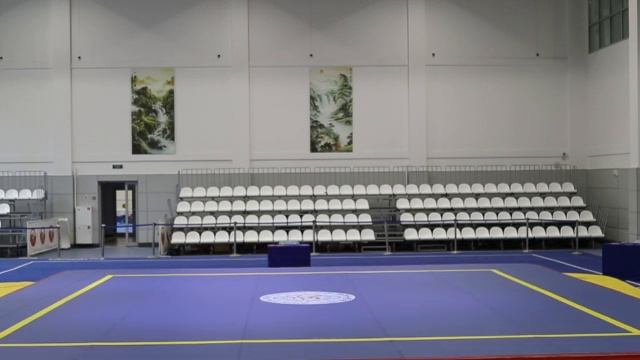 «МОСКОВСКИЕ ЗВЕЗДЫ УШУ 2026»