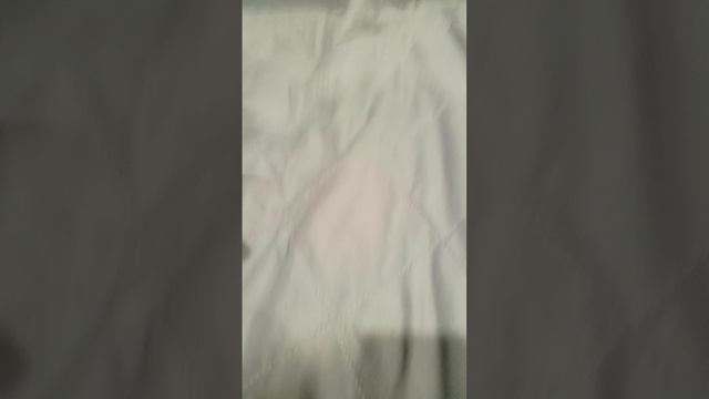 мои плюшевые игрушки 🧸🧸🧸