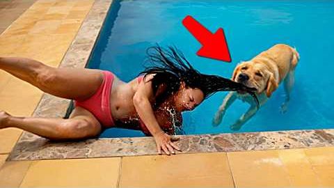 КОГДА ХОТЕЛ ПУШИСТОГО ДРУГА, А ПОЛУЧИЛ КАТАСТРОФУ