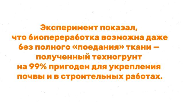 Silver Mercury Lindaily 2026