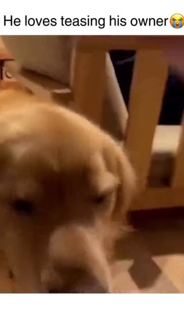 Невозможно пройти мимо