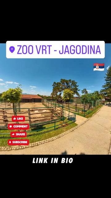 Jagodina Zoo - Zoo Vrt Jagodina  Zoo Garden Jagodina 360 Video #travel #turistika #touristattraction