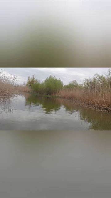 рыбалка в Астраханской области затрак и на воду