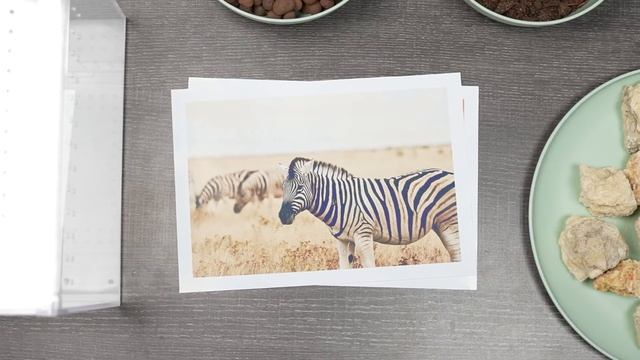 Симуляция нашей планеты