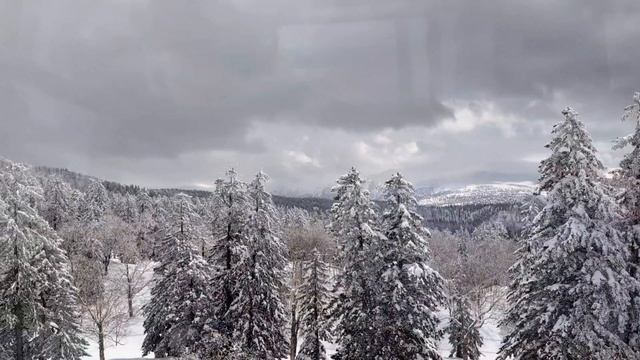 73.Красота - монохромная🤍🩶.