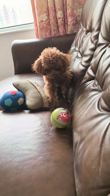 играю в мяч.mp4