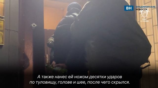 Во Владимирской области спустя 20 лет раскрыли убийство девочки-подростка