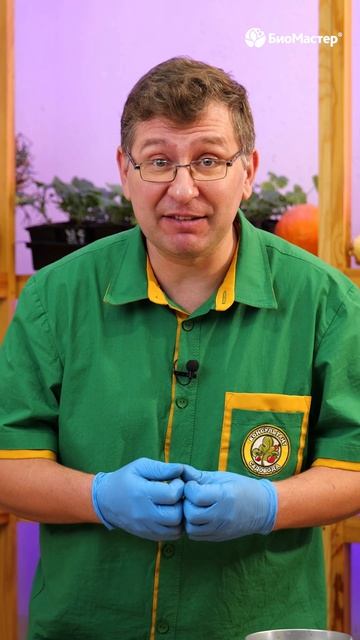 Как уберечь растения от корневых гнилей?