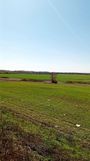 реальная жизнь на даче 16.04.26 Дорога