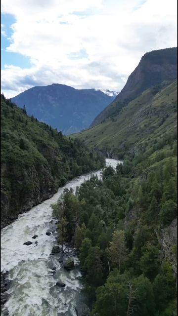 -6158568336121008018