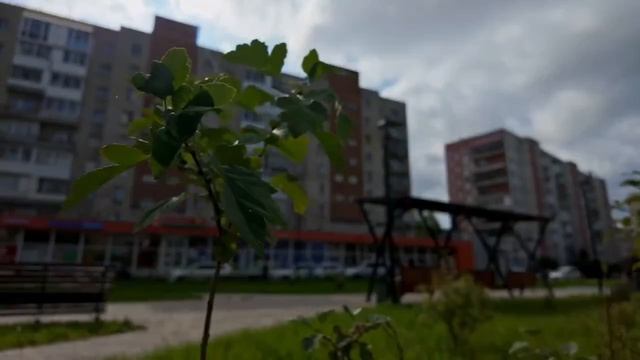 Всероссийское голосование по выбору территорий для благоустройства