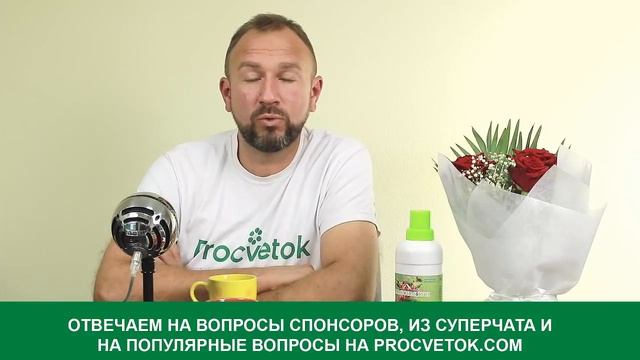Севооборот, сидераты, оздоровление почвы