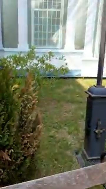 Передо мной явился ты.mp4