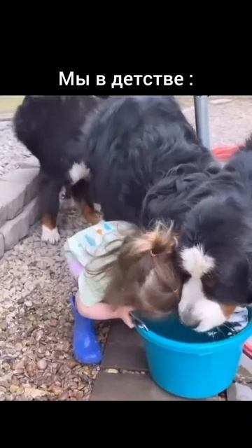 Современные дети и мы