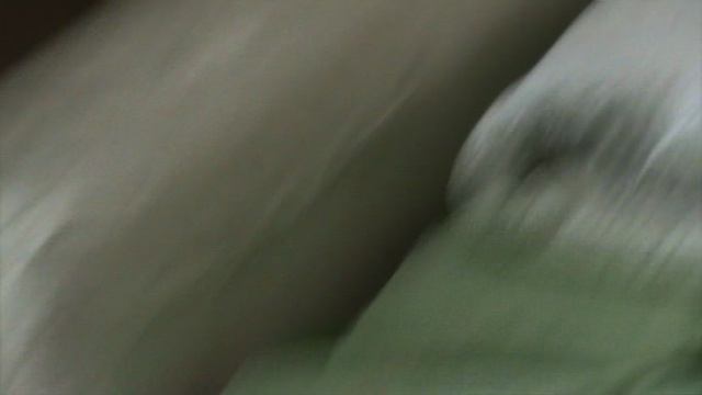 36)ДОМА КОШКА