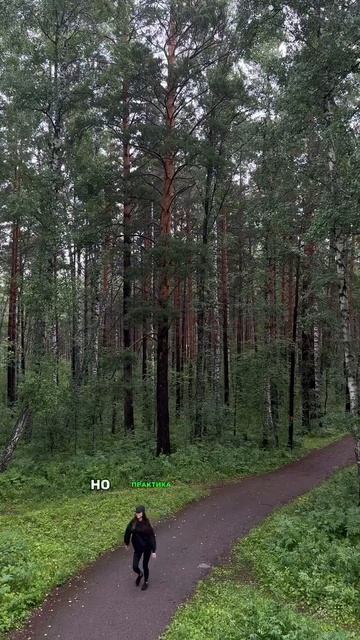 Ссылку на пошаговое руководство для начинающих пп-шников оставила в закрепленном комментарии