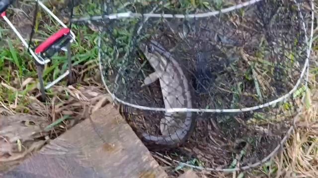 VID_20260417_105817_964