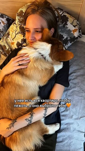 Рыжий корж каждый день