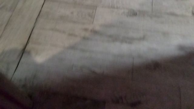 тутор как остановиться ходить (Рофл)