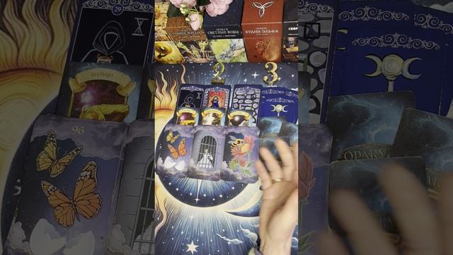 Без названия.