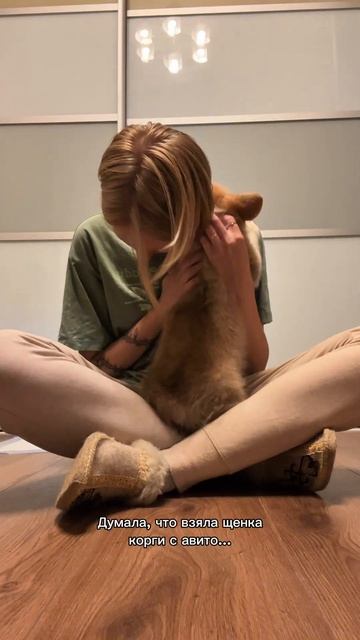 Если что, кушаем корм Дилли: #1603279833 #утренняярутина #собакамечта #мойпитомец #домашниеживотные