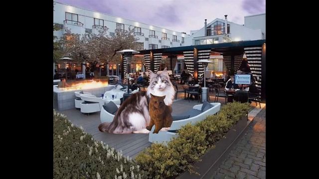 ПРОДА!!! 🫪🫪🫪🫪🫪/Следующую незн когда сделаю) У мя домашки дофига