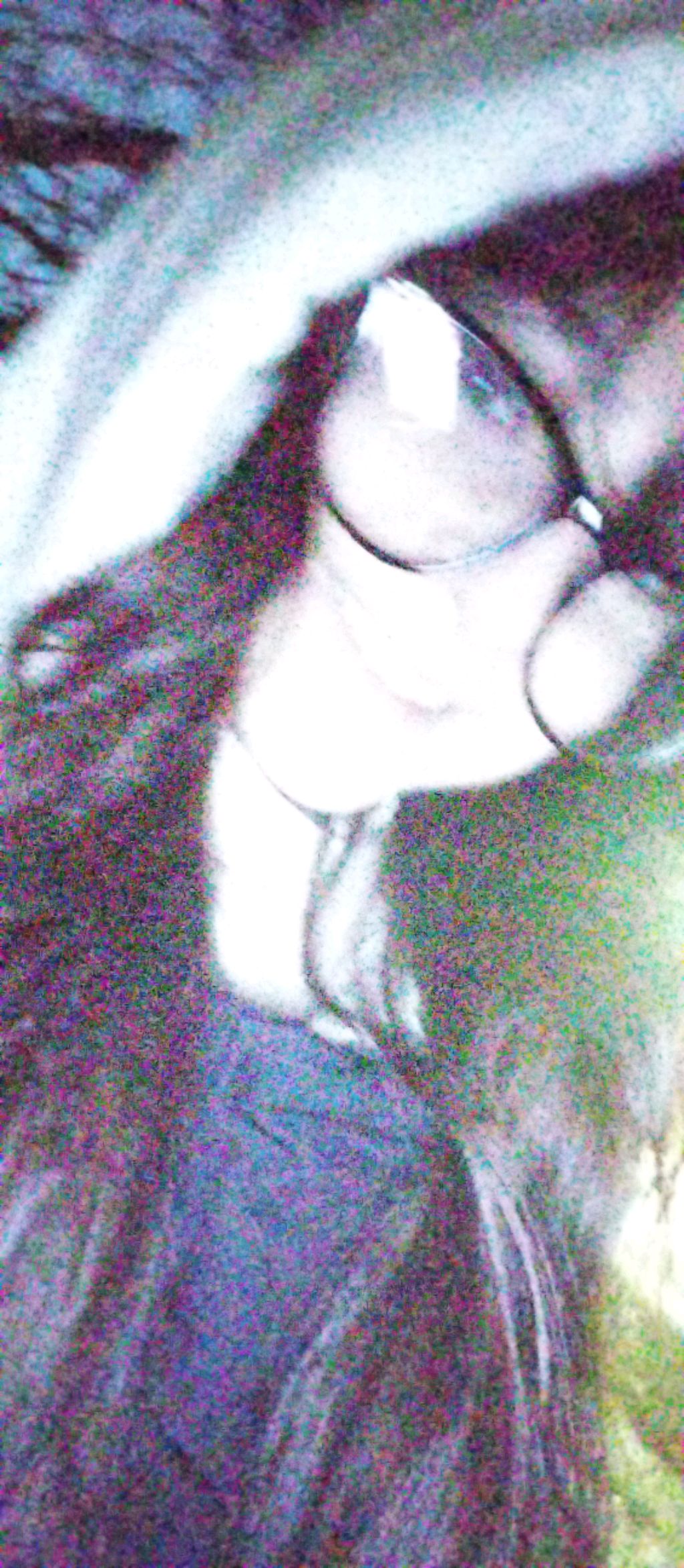 ✧общение✧