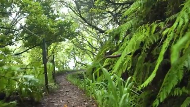 Песня для души. Тишина внутри...