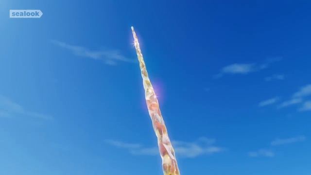 Морские Котики (SEALOOK) (178)