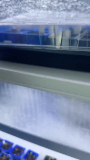 Уже считаем первые всходы! Новости нашего Агрореалити Битва за урожай